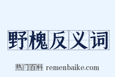野槐反义词是什么意思的图片